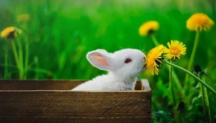 区块链技术能改变世界吗？