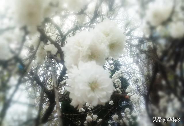 区块链和虚拟货币有什么关系<strong></p>
<p>区块链货币</strong>?比特币值钱是因它是区块链技术运用的记账代码?