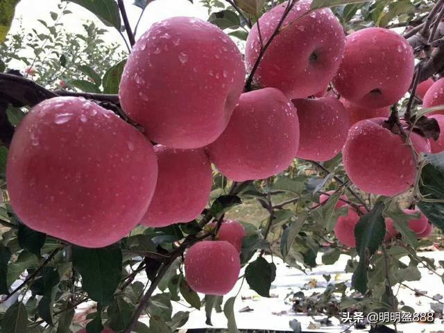 郑重看股:银行股会不会是资金抱团的下一个目标<strong></p>
<p>安币矿池</strong>?