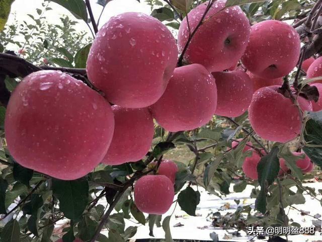 散户在一只股上长期做T可以将成本做到0以下吗<strong></p>
<p>币安市值</strong>?