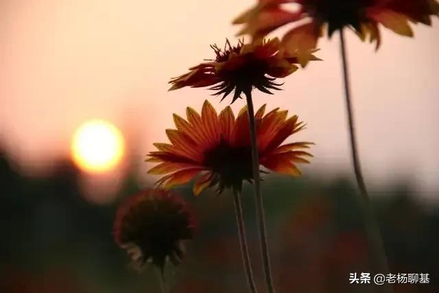 年前买的基金<strong></p>
<p>安币资本</strong>,已经赔了17.86%,要不要割肉呢?