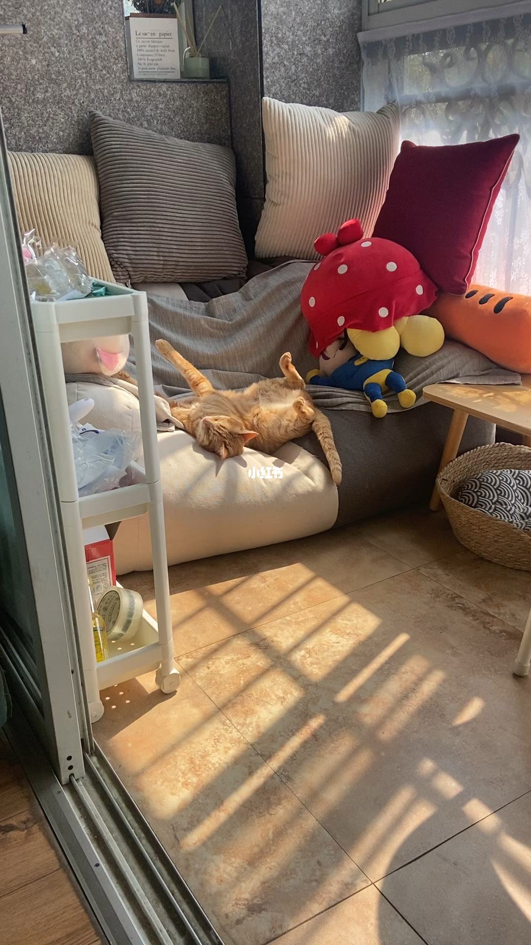 非静止理财(开放式非静止理财是什么意思) 非静止理财(开放式非静止理财是什么意思)