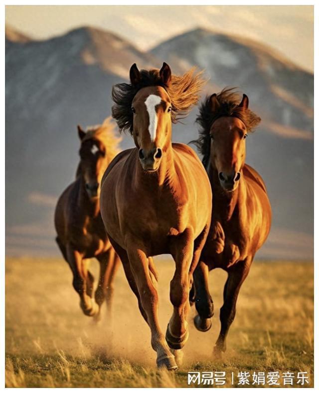 网易马理财(网易的理财app叫什么) 网易马理财(网易的理财app叫什么)