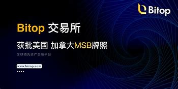 bitop交易所下载中国(bithumb global交易所下载)