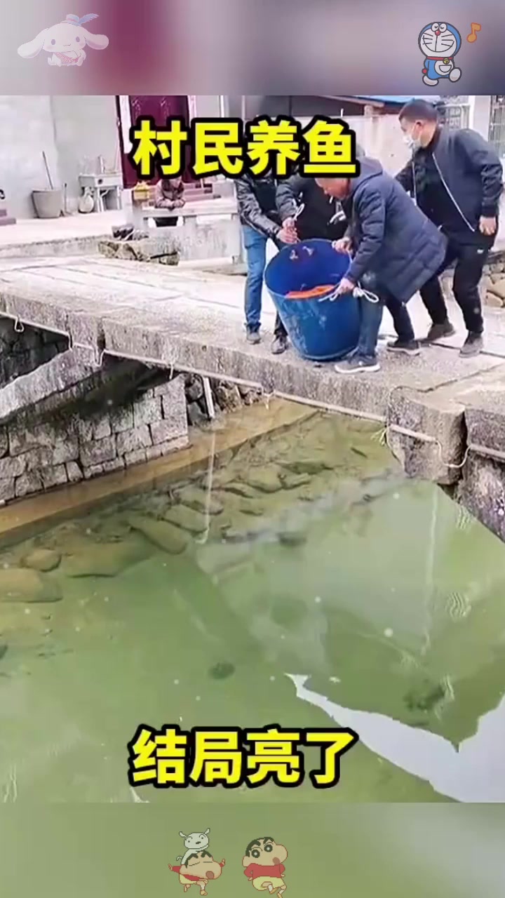 养鱼(养鱼养单数还是双数) 养鱼(养鱼养单数还是双数)