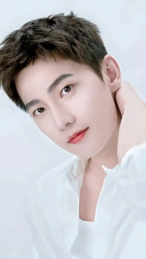 杨洋(杨洋凡人修仙传)