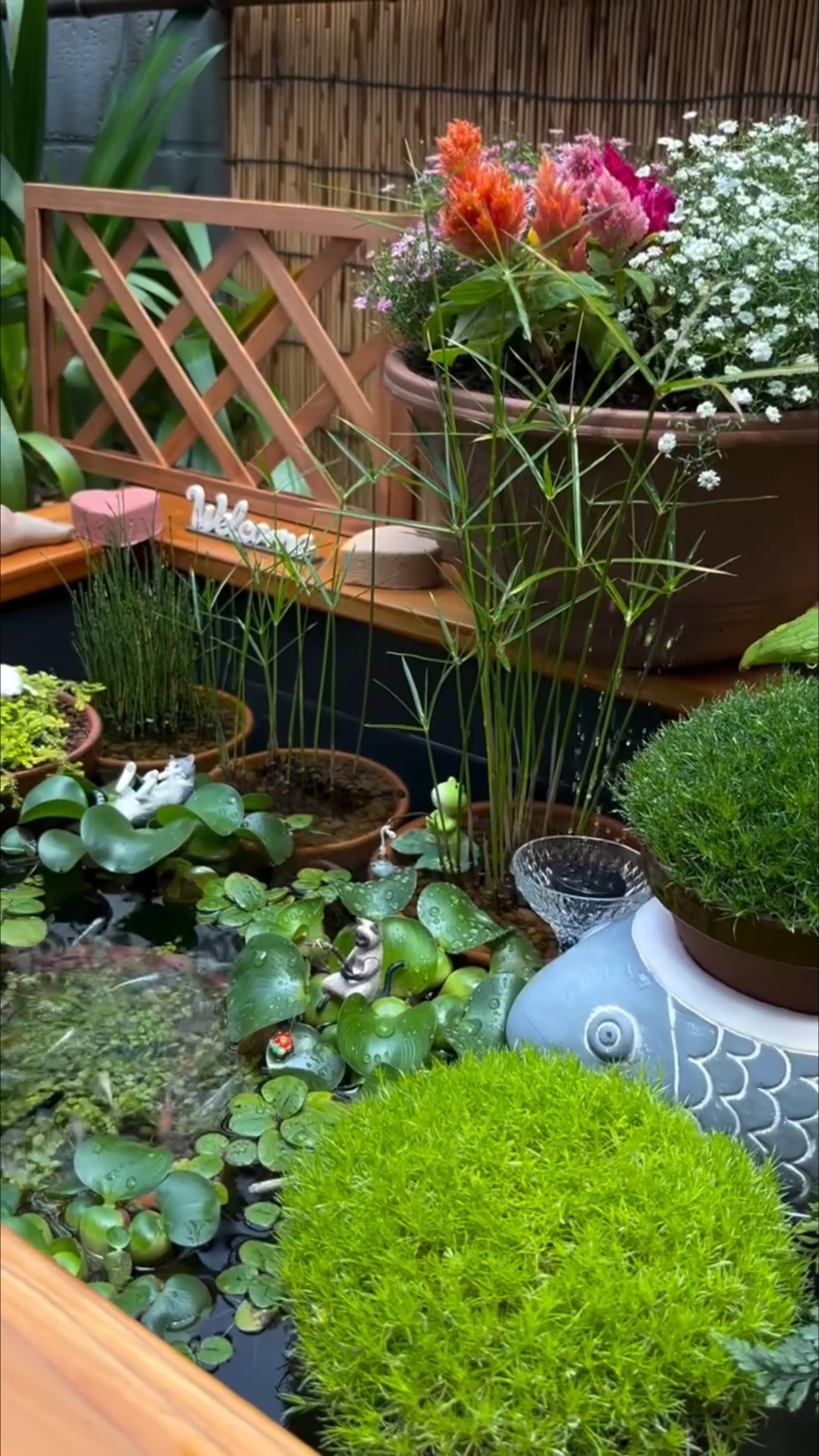 养鱼(养鱼口诀一三五七) 养鱼(养鱼口诀一三五七)