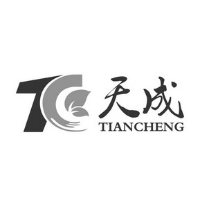 天成(天成是什么意思)