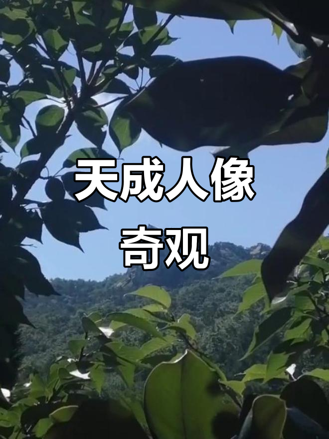 天成(天成同学) 天成(天成同学)
