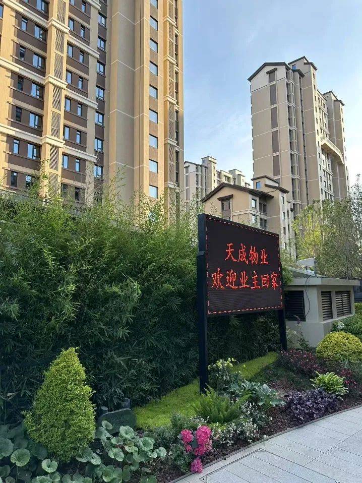 天成(天成集团) 天成(天成集团)