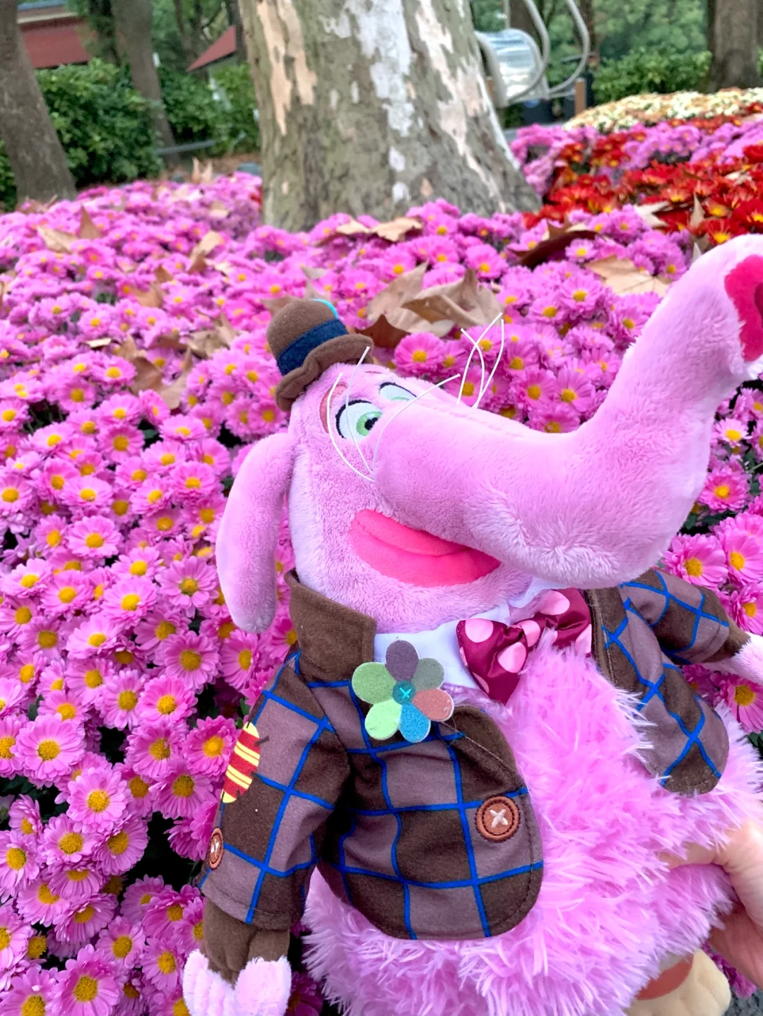 Bingbon(bingbong 是什么意思)