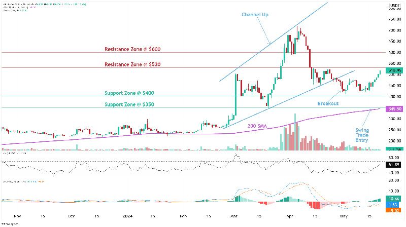 BCH-比特现金(比特现金bsv能涨到多少) BCH-比特现金(比特现金bsv能涨到多少)