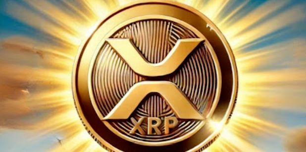 包含XRP-瑞波币交易所的词条 包含XRP-瑞波币交易所的词条