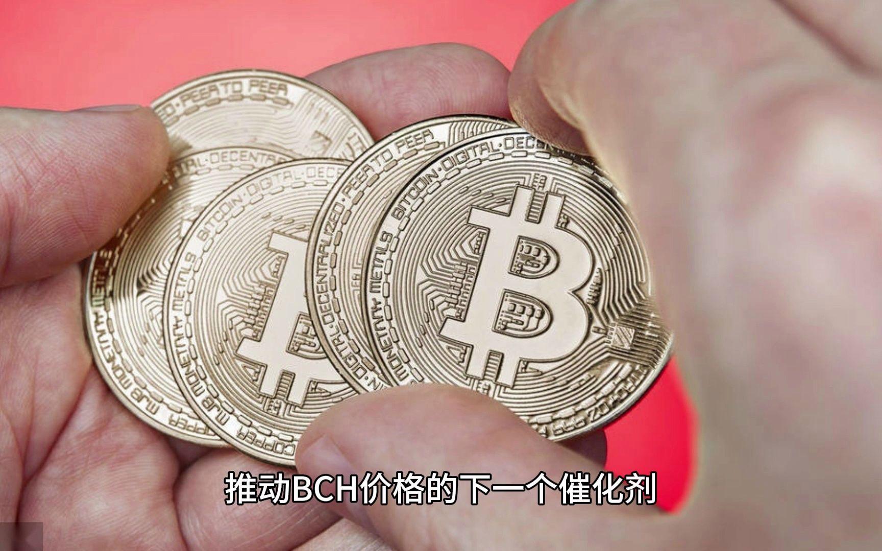 BCH-比特现金(BCH比特现金走势图表) BCH-比特现金(BCH比特现金走势图表)