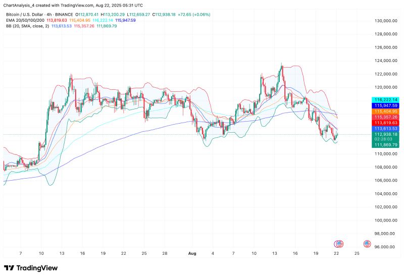 比特币价格(比特币价格历史走势图) 比特币价格(比特币价格历史走势图)
