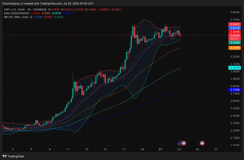 XRP交易(XRP交易下载官网注册中国)
