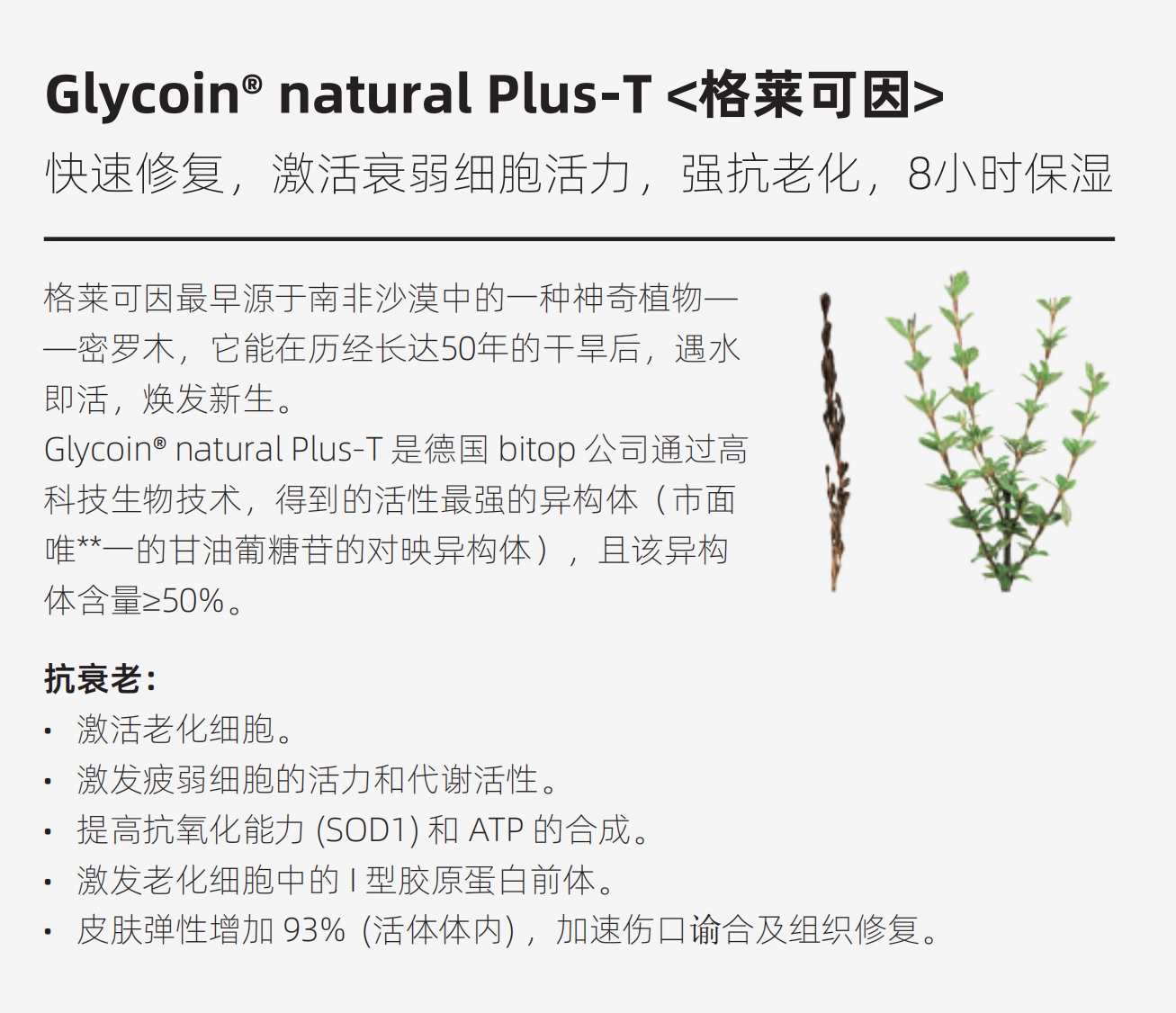 bitop(bitopro交易所安卓版) bitop(bitopro交易所安卓版)